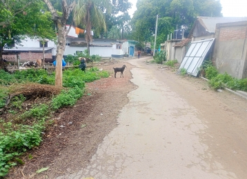 চৌগাছার কংশারীপুর-নারায়নপুর  সড়কের বেহালদশা সংস্কারের দাবি