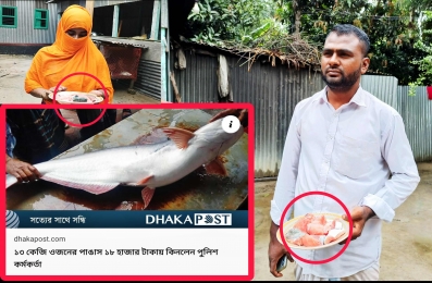 ভাইরাল সেই পাঙ্গাশ মাছ কোন পুলিশ নয় কিনেছেন এক জেলে!