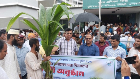 নলছিটিতে কৃষকদের মাঝে নারিকেল চারা, বীজ ও সার বিতরণ।