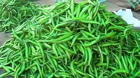 সিলেটে কাঁচামরিচের দাম লাগামহীন,প্রতি কেজি বিক্রি হচ্ছে ৪০০-৬০০ টাকায়
