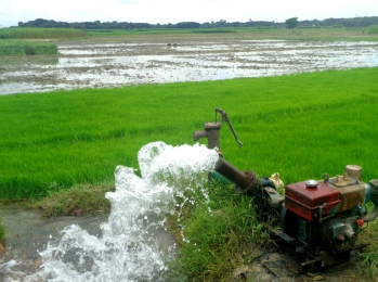 চৌগাছায়  রোপা আমনে সেচের পানিই ভরসা কৃষকদের