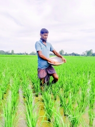 স্বস্তির মুখে চাষিরা 