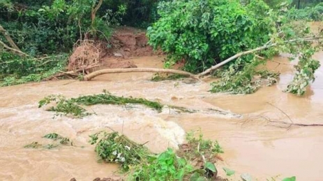 নদীর ১১ বাঁধ ভেঙে ফেনীর ৭০ গ্রাম প্লাবিত, ফুলগাজী ও পরশুরামের সঙ্গে যোগাযোগ বিচ্ছিন্ন
