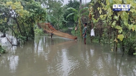 বন্যায় ৮ জেলায় ক্ষতিগ্রস্ত ২৯ লাখ মানুষ