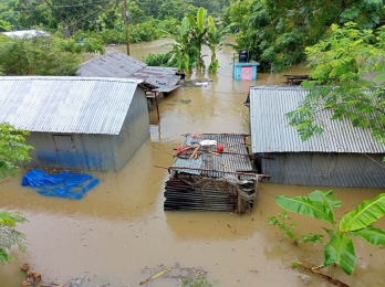 রোপা আমনের ক্ষতির সম্ভবনা