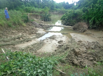 ভেঙ্গে পড়ছে ফসলি জমি-দিশেহারা কৃষক