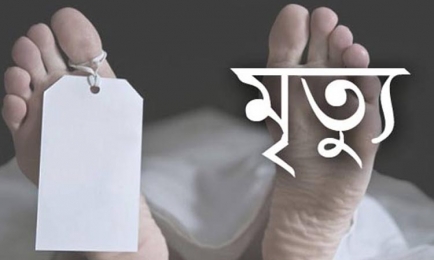 বকশীগঞ্জে গরু বোঝাই ভটভটি উল্টে গরু ব্যবসায়ীর মৃত্যু, আহত-২