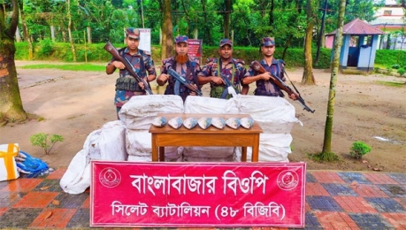 ভারতে পাচারের সময় সীমান্তে ২৭৫ কেজি ইলিশ জব্দ করা হয়েছে