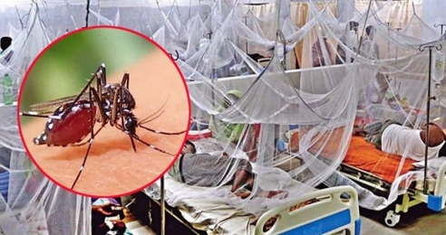 ২৪ ঘন্টায় ডেঙ্গুতে ৬ জনের মৃত্যু, ৮৬৫ জনকে হাসপাতালে ভর্তি করা হয়েছে