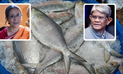 ভারতে ৩ হাজার টন ইলিশ রপ্তানির সিদ্ধান্ত পরিবর্তন