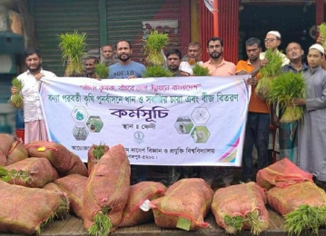 বন্যায় ক্ষতিগ্রস্ত এলাকায় পৌছাচ্ছে হাবিপ্রবি তে উৎপাদিত ধান ও সবজির চারা