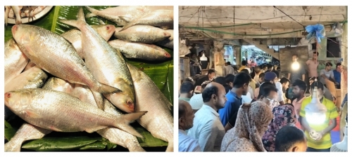 নিষেধাজ্ঞার আগে বরগুনাতে ইলিশের ক্রেতাদের ভিড়