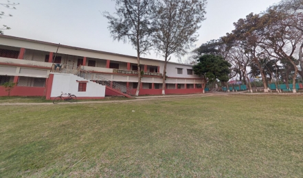 চৌগাছা তরিকুল ইসলাম পৌর কলেজে   পাশের হার ৮৬ শতাংশ জিপিএ ১৩ জন