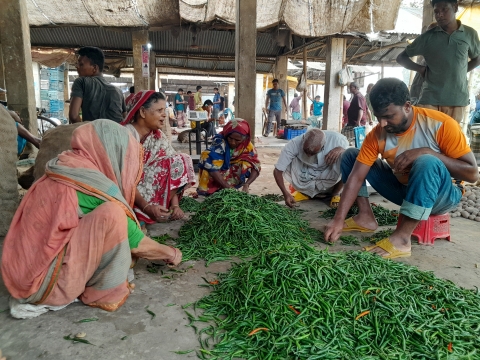 লালমনিরহাটে কাঁচা মরিচের আকাশচুম্বি দামে বিপাকে পড়েছেন অল্প আয়ের মানুষ।