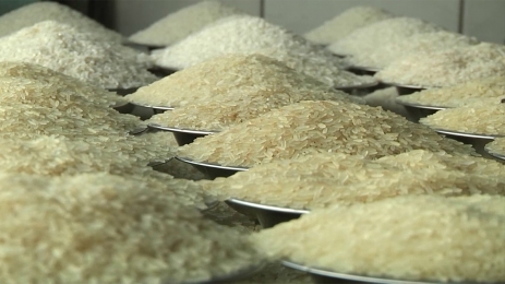 চালের শুল্ক হ্রাস এনবিআর 