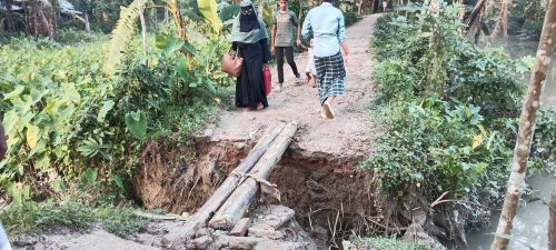 নলছিটির ফরাসিনায় সড়ক ধ্বসে যোগাযোগ বিছিন্ন কয়েক গ্রামের মানুষ