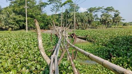 বাঁশের সাঁকোয় মৃত্যুঝুঁক