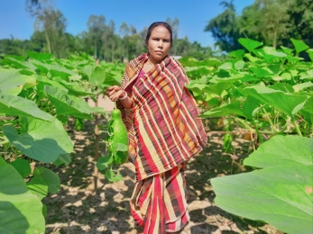 লালমনিরহাটে পরিত্যক্ত জমিতে সবজি চাষ করে সফল কৃষাণী রতনা রানী।