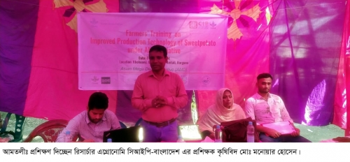 পুষ্টি সমৃদ্ধ মিষ্টি আলু উৎপাদন প্রযুক্তির ওপর কৃষক প্রশিক্ষণ।