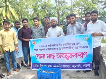 আমতলীতে মাছের পোনা অবমুক্ত