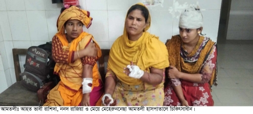 ভাবীকে ধর্ষণে ব্যর্থ হয়ে তিনজনকে কুপিয়ে জখম। 