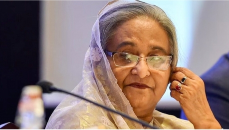 ভারতে যেভাবে কাটলো শেখ হাসিনার ১০০ দিন 