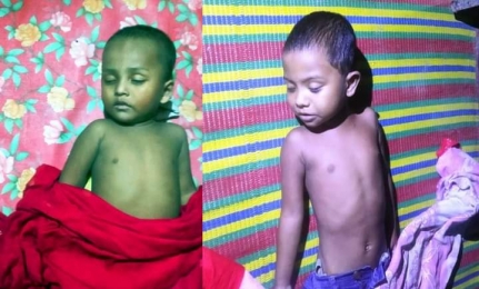 নলছিটিতে ইঁদুর মারা ওষুধ খেয়ে দুই শিশু  চাচাতো ভাই বোনের মৃত্যু।
