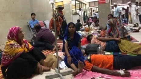 নভেম্বরের ১৭ দিনে ডেঙ্গুতে ১০০ জনের মৃত্যু