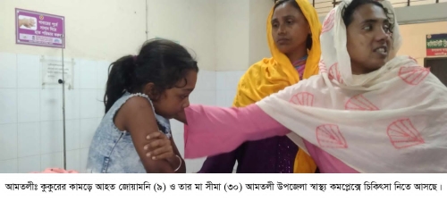 আমতলীতে এক দিনে কুকুরের কামড়ে আহত ২৭, হাসপাতালে নেই ভ্যাকসিন