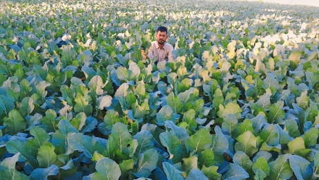 শীতকালীন সবজি চাষে ব্যস্ত লালমনিরহাটের কৃষকরা