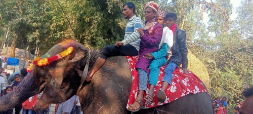 জয়পুরহাটে হাতিতে চড়ে বিয়ে করে মায়ের স্বপ্ন পূরণ