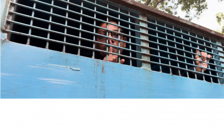একটি নিরাপদ বাড়িতে পলক