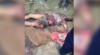 কুষ্টিয়ায় ট্রাক-নছিমন সংঘর্ষে গরু ব্যবসায়ী নিহত