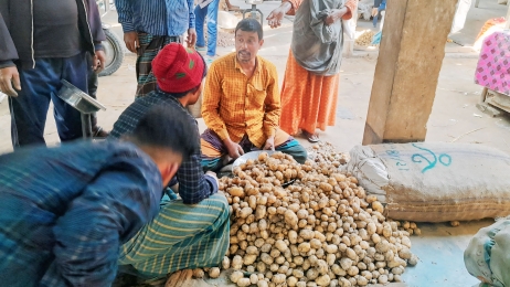 লালমনিরহাটে আগাম জাতের আলু বিক্রি করে লাভবান হচ্ছেন কৃষকেরা।