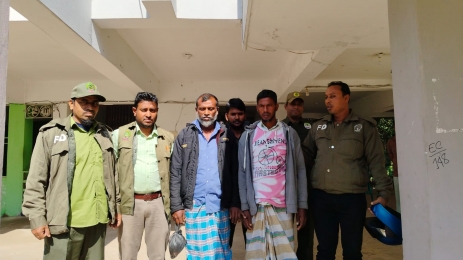 হাতিয়ায় গাছ কেটে সরকারি বাগান দখলের চেষ্টা আটক ২