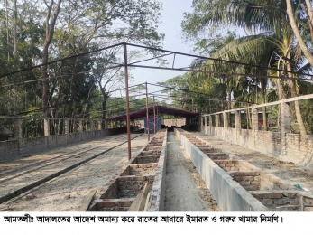 আদালতের আদেশ অমান্য করে ইমারত ও গরুর খামার নির্মাণ। 