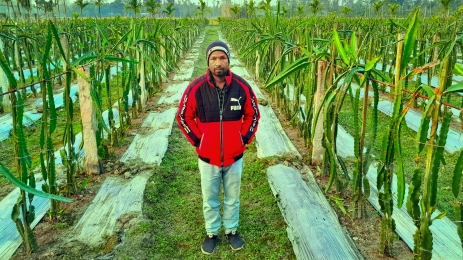 কৃষি উদ্যোক্তা হয়ে সফল মৃণাল চন্দ্র রায়