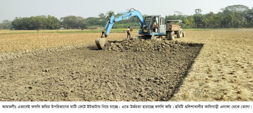 ফসলি জমির মাটি ইটভাটায়! বিপর্যয়ের মুখে কৃষি উৎপাদন। 