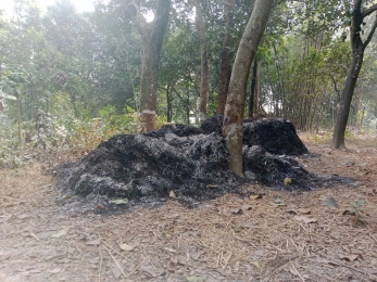 পূবাইলে জমি সংক্রান্ত জেরে খড়ের গাদায় আগুন থানায় অভিযোগ  