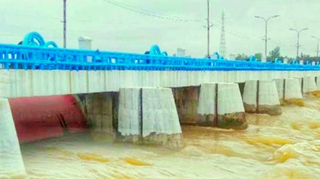 তিস্তায় আকস্মিক পানি বৃদ্ধি : ফসল নষ্ট হওয়ার আশংকায় কৃষকরা