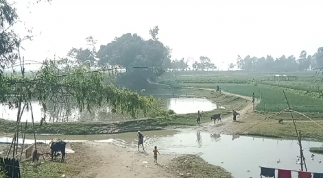 একটি ব্রিজের অভাবে দুর্ভোগে কুশলনগরবাসী