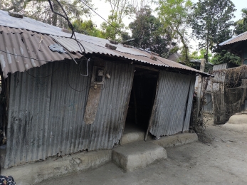 গাছ কাটাকে কেন্দ্র করে হানিফা সৈয়ালের বিরুদ্ধে নারী নির্যাতনের অভিযোগ! 