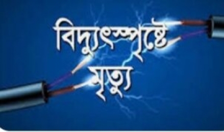 পুকুরে সেচ পাম্পে বিদ্যুৎ সংযোগ দিতে গিয়ে যুবকের মর্মান্তিক মৃত্যু
