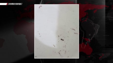 ওয়াসার পানিতে মিলছে পোকা ও ময়লা, ভোগান্তিতে নগরবাসী