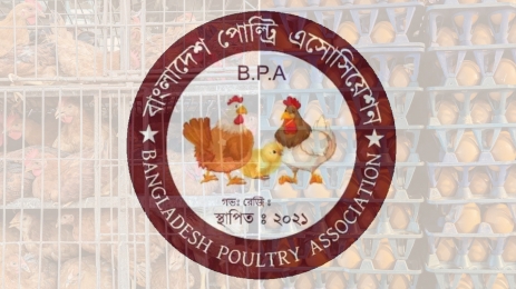 ০১ মে থেকে উৎপাদনকারী সব ডিম-মুরগির খামার বন্ধ ঘোষণা 