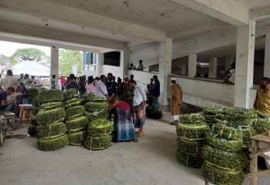 আমতলীতে বিদ্যালয়ে পানের হাট ময়লা আবর্জনা পচে দুর্গন্ধ,স্বাস্থ্যঝুঁকিতে শিক্ষার্থী 