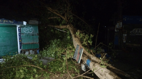 ১৫ মিনিটের কালবৈশাখী ঝড়ে লন্ডভন্ড ঘরবাড়ি ও গাছপালা