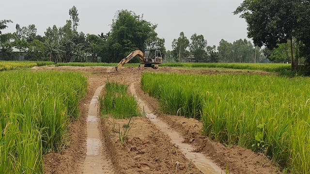শেরপুরের কারাগাঁওয়ে পরিবেশ বিপর্যয়: মাটি ও বালু লুটের মহোৎসব 