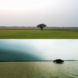 ঋতুর সাথে বদলে যাওয়া জীবন: হাকালুকির জল, মাটি ও মানুষের গল্প