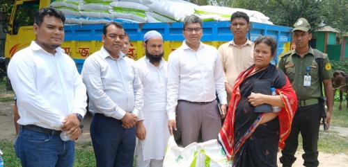 উন্নত জাতের গরু ও খাদ্য পেয়ে উচ্ছ্বসিত ৪৬ পরিবার